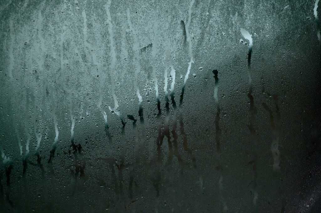 l'hiver, la condensation et la buée formée par les vapeurs d'eau peuvent devenir source d'inconfort et désagrément. Comment lutter contre ?