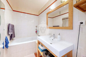 T3 LA PIE A VENDRE - SALLE DE BAINS