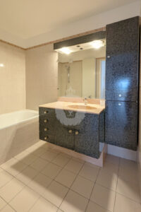 LOCATION APPARTEMENT MAISONS ALFORT par ERIC J IMMOBILIER