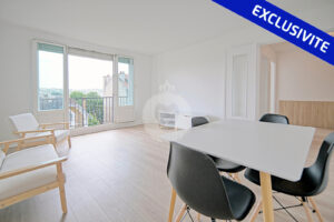 salon T2 meublé a louer Saint Maur le Parc par Eric J immobilier