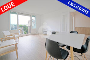 salon T2 meublé a louer Saint Maur le Parc par Eric J immobilier