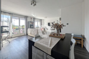 T3 POSSIBLE T4 A VENDRE SAINT MAUR KING IMMOBILIER