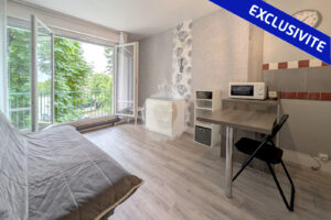 Studio meublé à louer au Parc Saint Maur par King immobilier