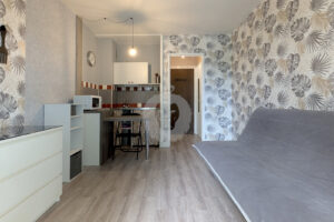 Studio meublé à louer au Parc Saint Maur par King immobilier