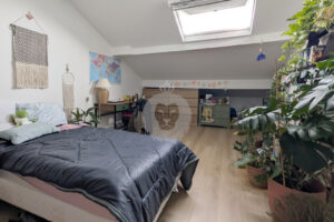 T3 EN DUPLEX LOCATION MEUBLEE SAINT MAUR LES MURIERS