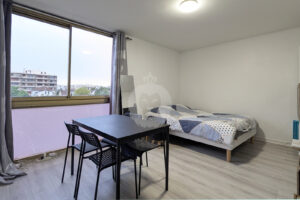 STUDIO LOUE MEUBLE A VENDRE LA VARENNE SAINT HILAIRE PAR KING IMMOBILIER