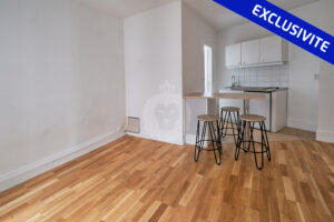 studio a vendre a Paris 11 King immobilier